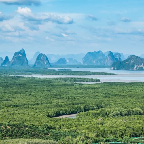 EXCURSIÓN A LA BAHÍA de PHANG NGA (desde Phuket) - Excursiones por Bangkok en Español