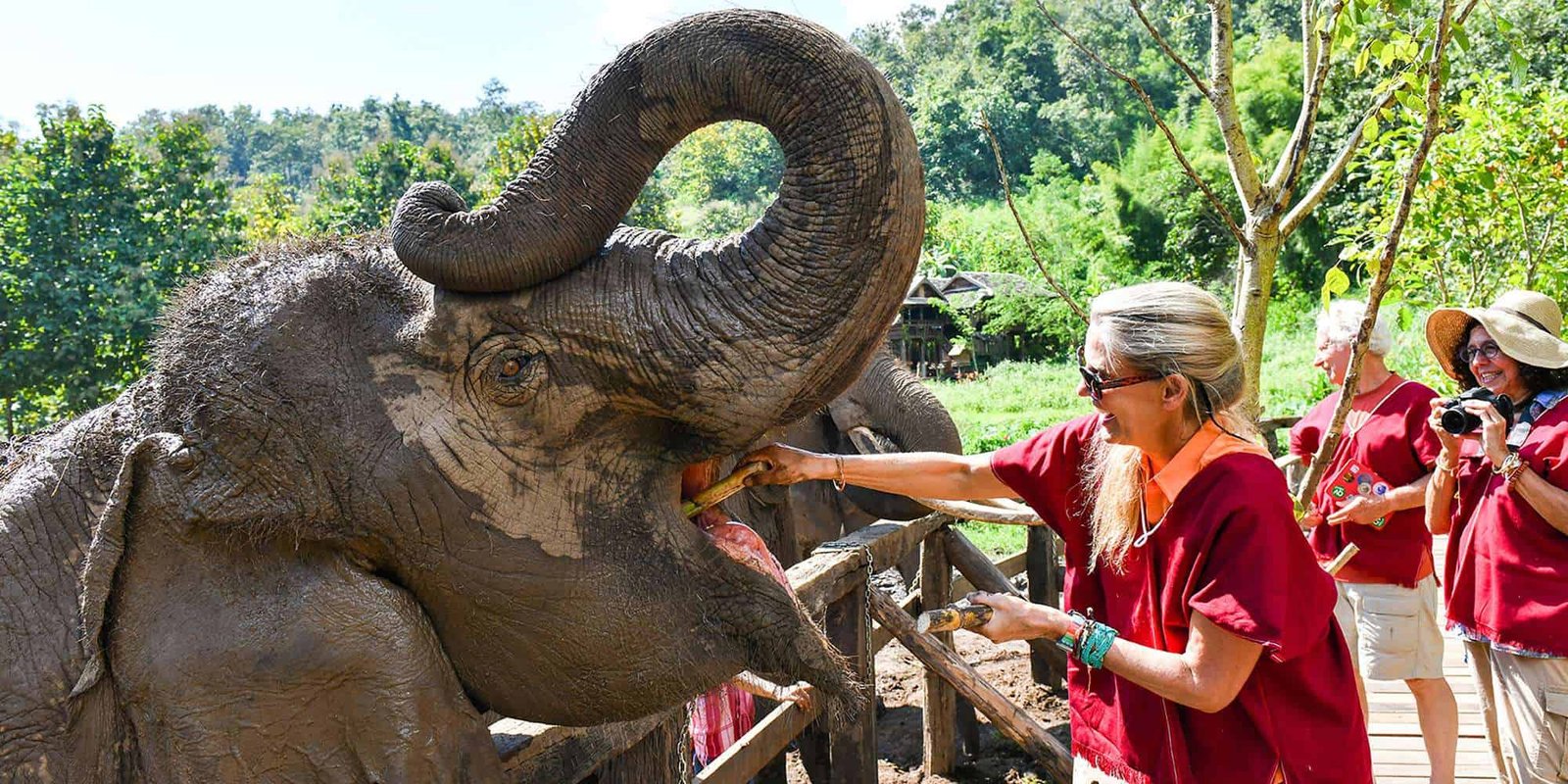 Walk-With-Elephants_Feeding_ElephantEcoValley3